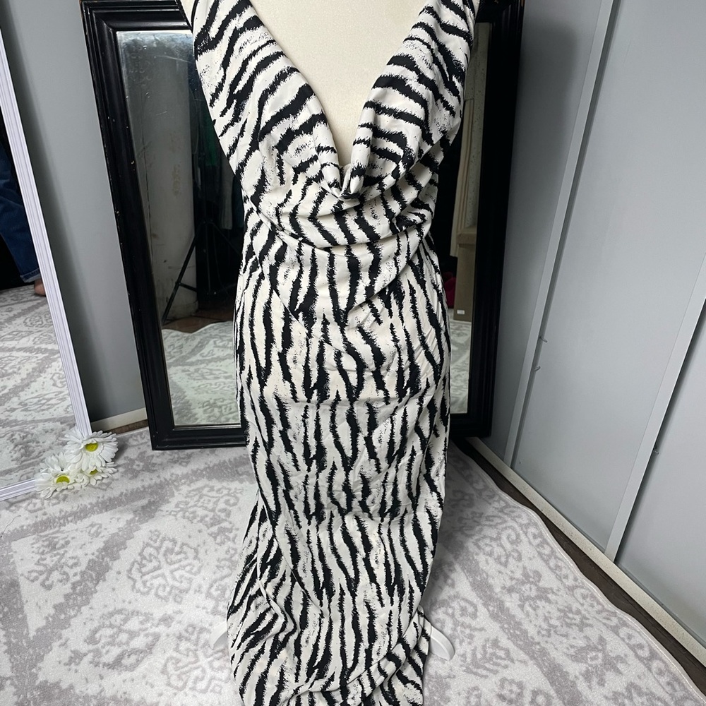 Nasty Gal Zebra Print Maxi Dress
